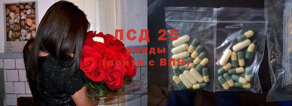 дурь Заводоуковск
