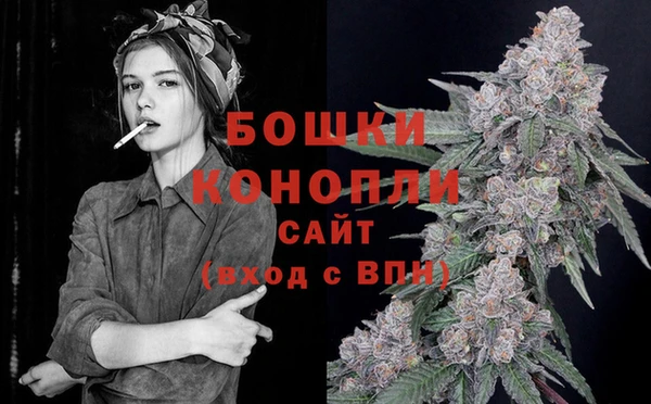 дурь Заводоуковск