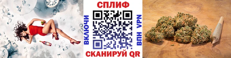 МАРИХУАНА гибрид  Купить  Могоча 